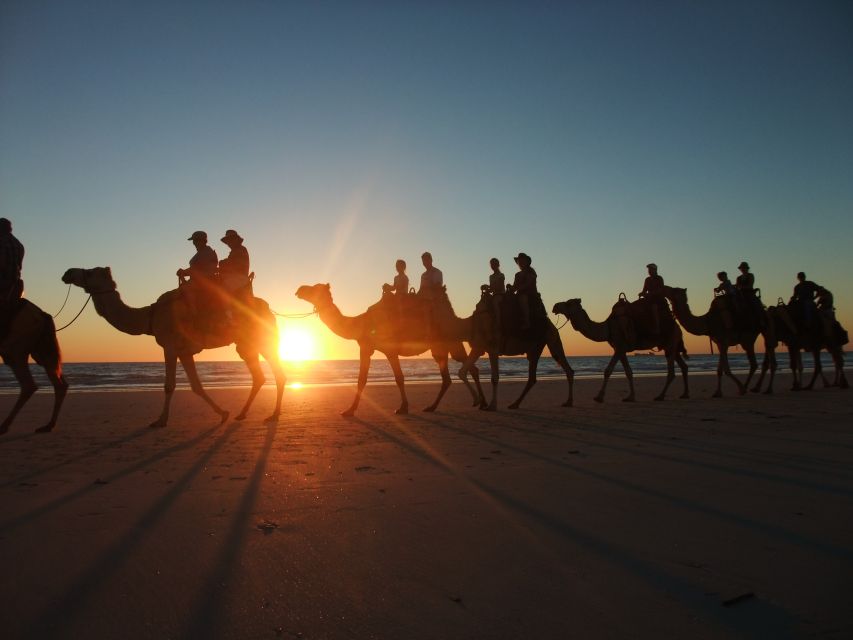 Agadir: Camel Ride With Tea & BBQ Dinner Option - Who will enjoy this ride most?