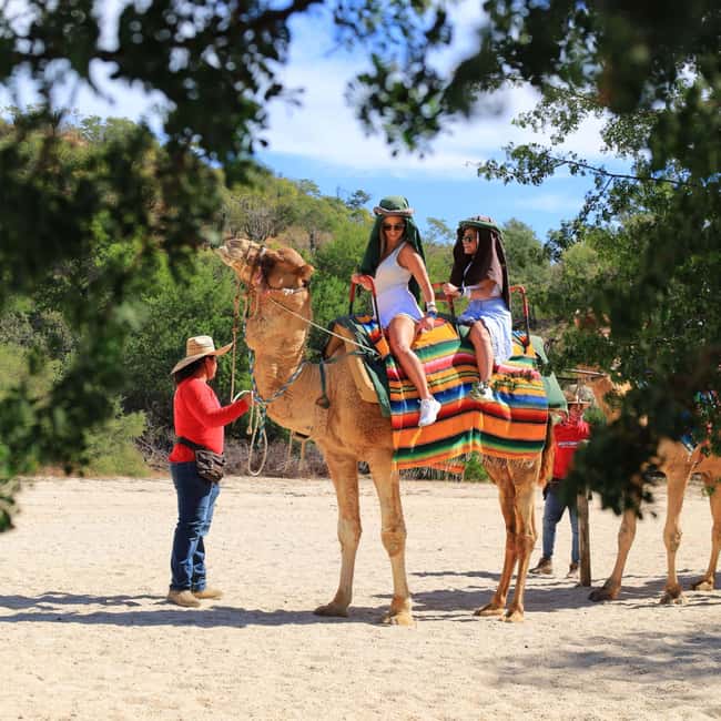 Agadir: Camel Ride With Tea & BBQ Dinner Option - Leaving Agadir for the Souss River