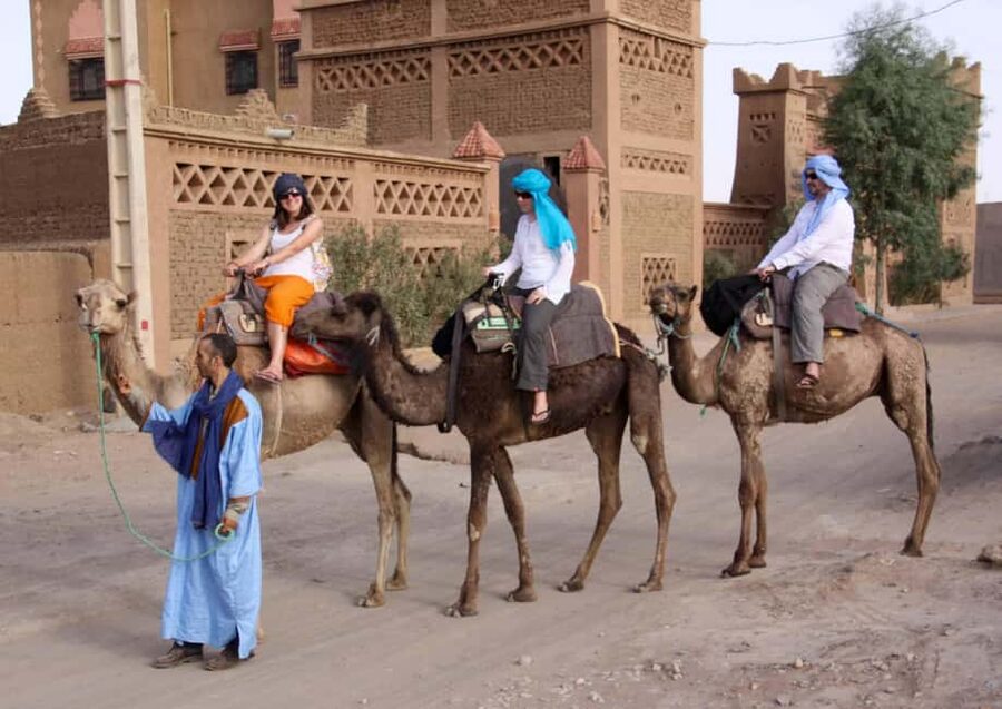 Agadir: Camel Ride With Tea & BBQ Dinner Option - Riding through eucalyptus trees to the river