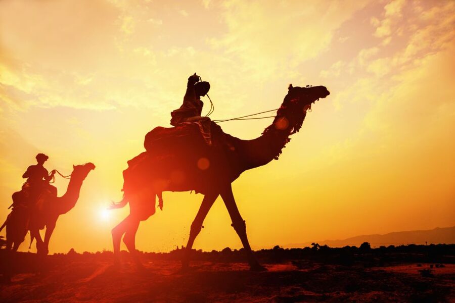 Agadir: Camel Ride With Tea & BBQ Dinner Option - The best time: cool morning or glowing sunset