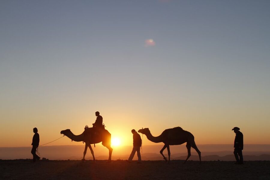 Agadir: Camel Ride With Tea & BBQ Dinner Option - Comfort, clothing, and small practical tips