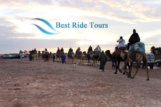 Agadir Camel Riding - Key points at a glance