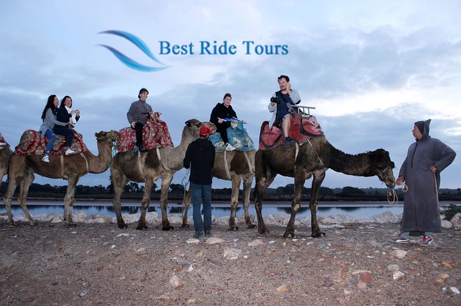 Agadir Camel Riding - What the Agadir camel ride is really like