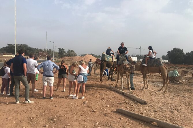 Agadir Camel Riding - Pickup, timing, and possible extras