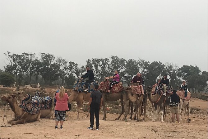 Agadir Camel Riding - Weather, insects, and what to wear