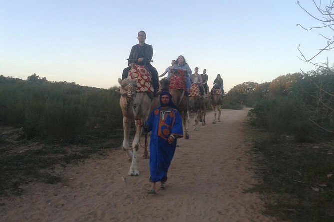 Agadir Camel Riding +Sunset and Dinner( barbecue) - Riding beside the Oued Souss at sunset