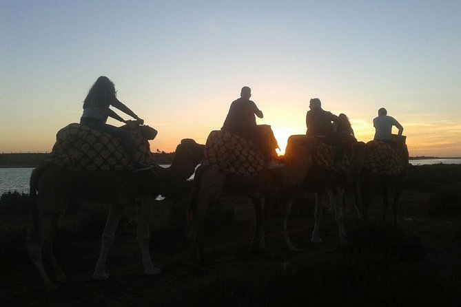 Agadir Camel Riding +Sunset and Dinner( barbecue) - What happens from the 5 pm pickup