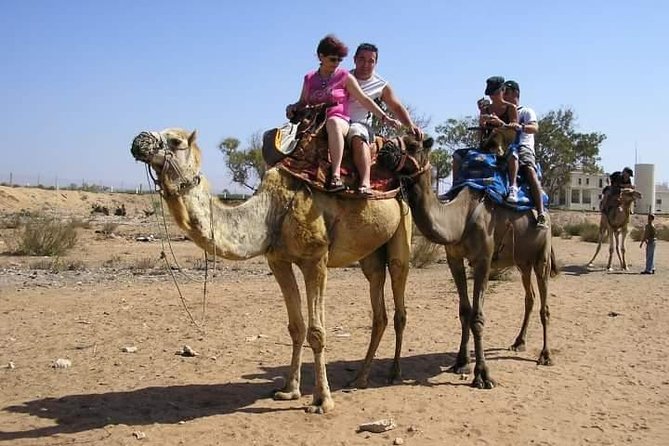 Agadir Camel Riding +Sunset and Dinner( barbecue) - How the group size affects the evening