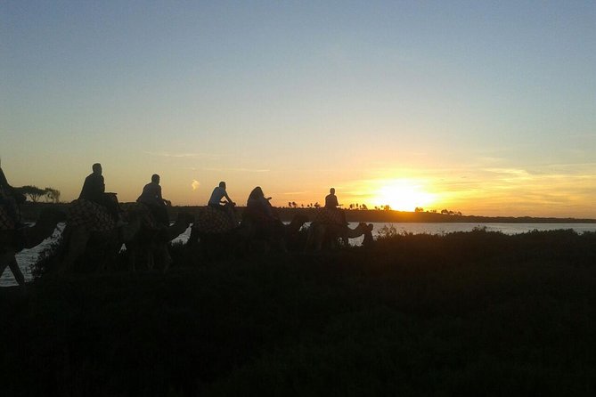 Agadir Camel Riding +Sunset and Dinner( barbecue) - Who should book this Agadir camel ride?