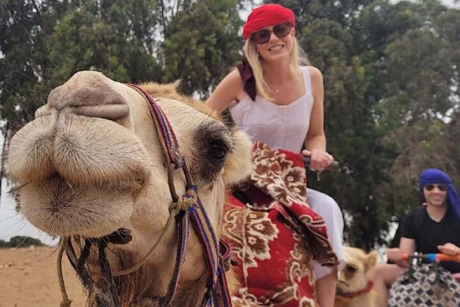 Agadir: Camel Riding Tour with Tea Drink - Key points to know before booking