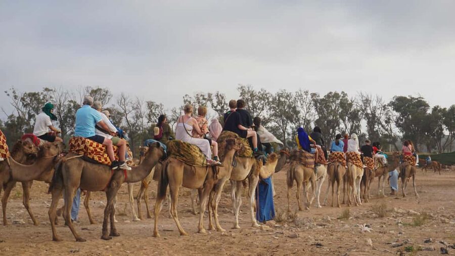 Agadir: Camel Riding Tour with Tea Drink - Who will enjoy this activity most?