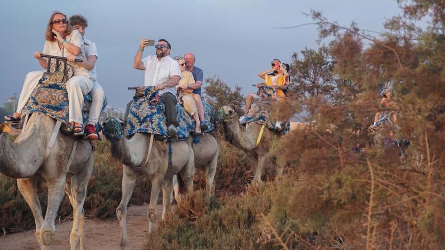 Agadir: Camel Riding Tour with Tea Drink - A gentle camel ride outside Agadir