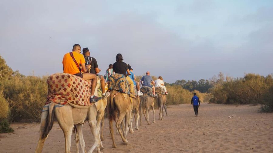 Agadir: Camel Riding Tour with Tea Drink - The ride itself: calm rather than daring