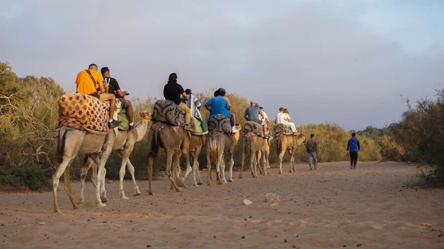 Agadir: Camel Riding Tour with Tea Drink - Mint tea gives the outing a Moroccan finish