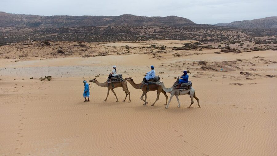 Agadir: Camel Riding Tour with Tea Drink - Dinner can change the value