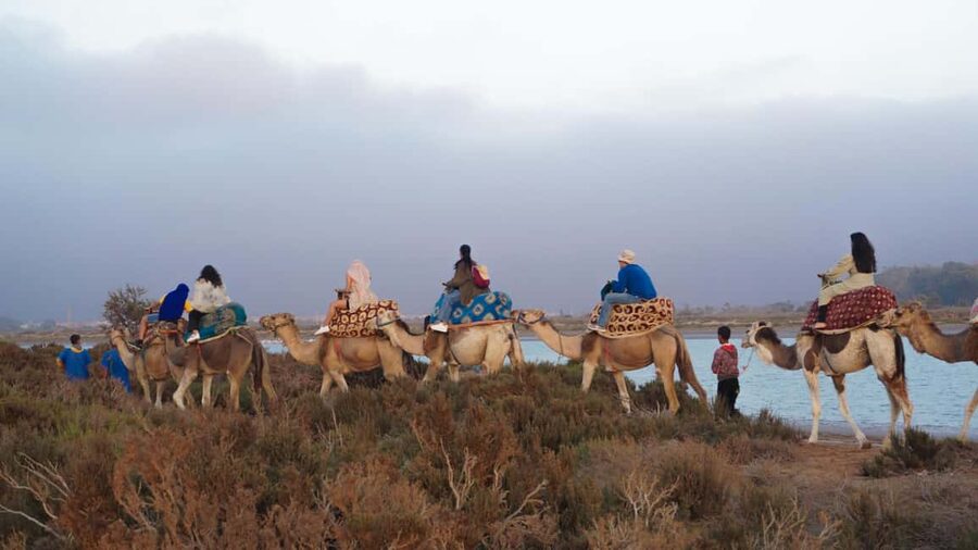 Agadir: Camel Riding Tour with Tea Drink - Is $22 a fair price?