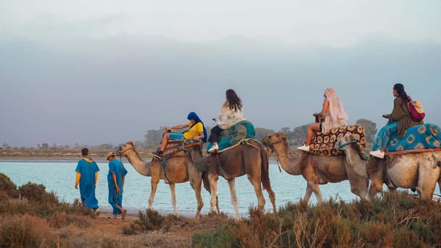 Agadir: Camel Riding Tour with Tea Drink - What the scenery may really look like
