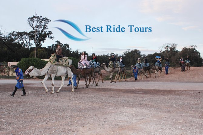 Agadir Camel Riding - Berber villages and the Oued Souss river mouth