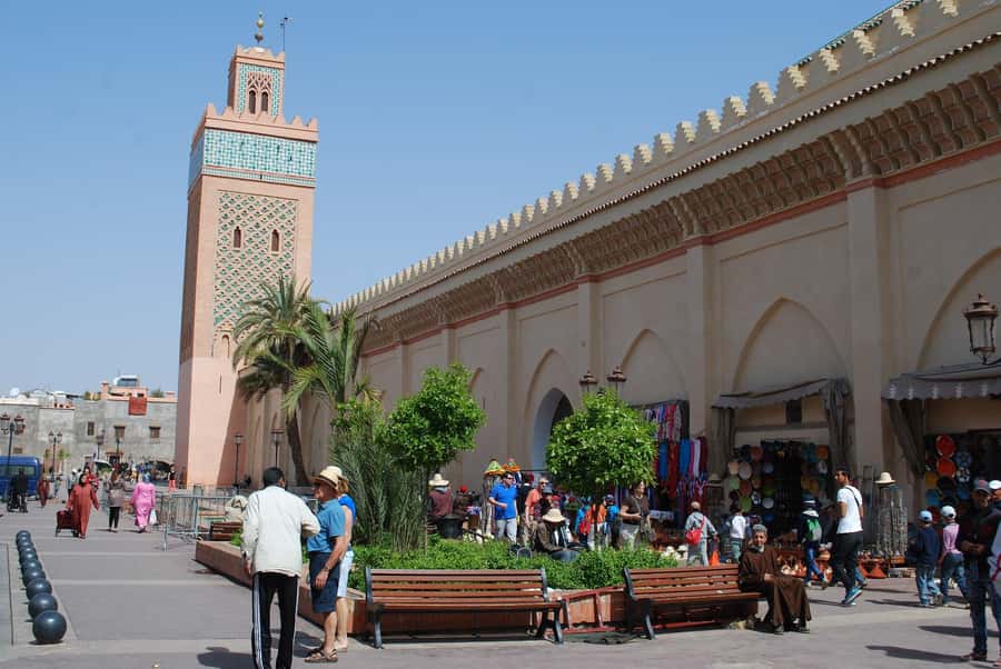 Agadir: City Discovery Tour - Learning what makes argan oil important