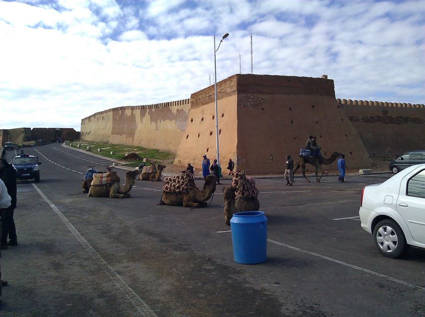 Agadir : City Sightseeing Tour - Starting above the city at the Kasbah