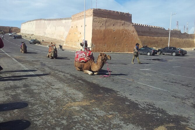 Agadir city tour and souk el had - Souk El Had is the main event