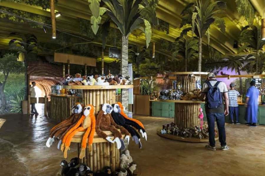 Agadir City Tour & Crocodile Park Adventure & Entry Ticket - The argan oil stop has a useful but commercial side