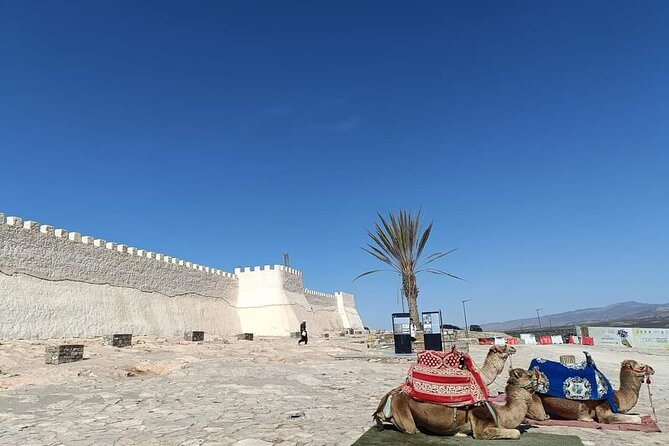 Agadir City Tour whit medina polizzi and Cable car Ride - Key points before you book