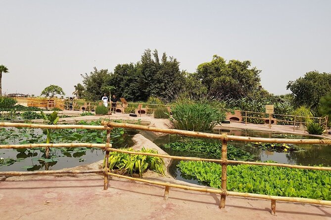 Agadir Crocodile Park Adventure - Anacondas, plants, and a jungle-style garden