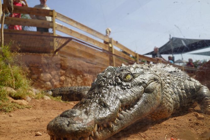 Agadir Crocodile Park Adventure - Is the $40.71 price fair?