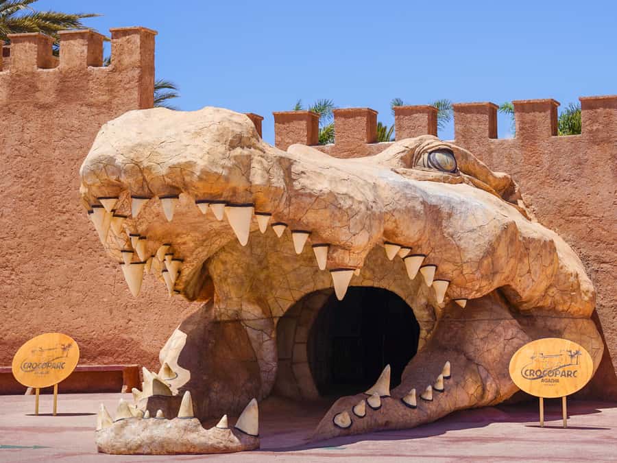 Agadir: Crocoparc Entry Ticket with Transfers, Guide, & Tea - Key points worth knowing