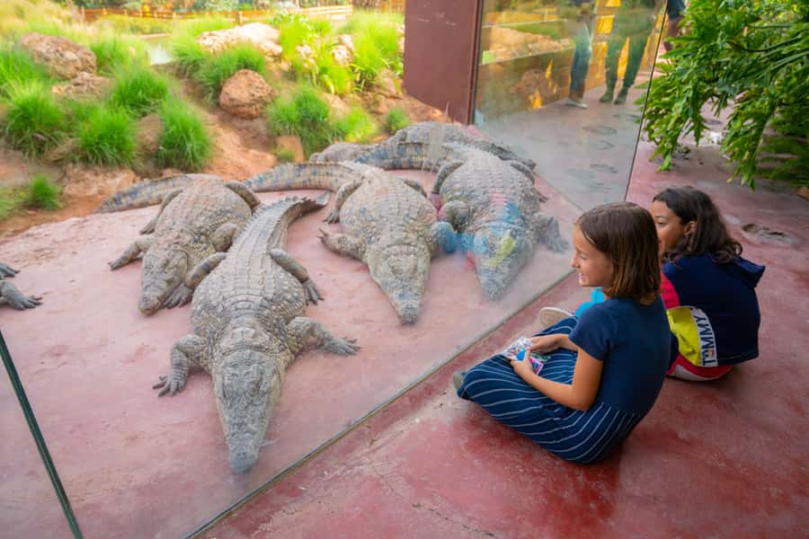 Agadir: Crocoparc Skip-the-Line Entry Ticket - Who should book Crocoparc Agadir?