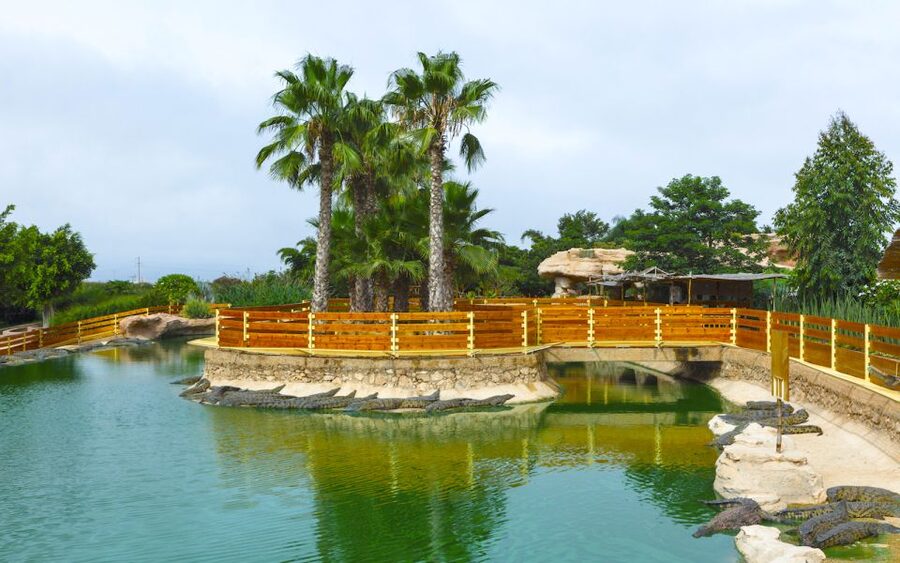 Agadir Crocoparc: Ticket and Transfer - Family appeal, quiet pace, and practical limits