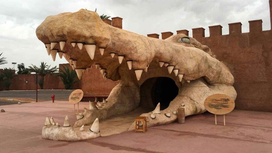 Agadir Crocoparc: Ticket and Transfer - Making the most of your two hours