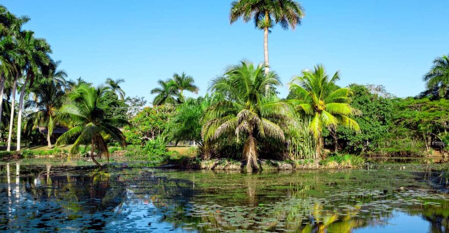 Agadir Crocoparc: Ticket and Transfer - The transfer from Agadir to the park
