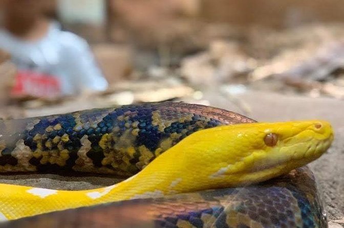 Agadir Crocoparc Transfer & Admission tickets - A three-hour outing with time to set your own pace