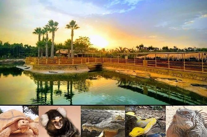 Agadir Crocoparc Transfer & Admission tickets - Is $27.92 good value?