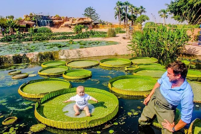Agadir Crocoparc Transfer & Admission tickets - What the ride adds to the experience