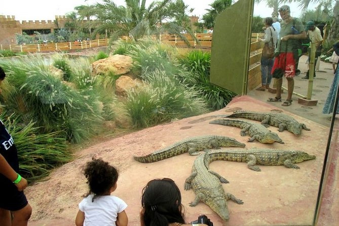 Agadir Crocoparc With Transfer & Admission ticket - Three hours of free time, with no rushed schedule
