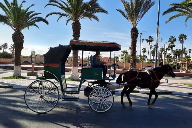 Agadir Day Trip to Taroudant and Tiout Oasis with Lunch - Why this Agadir day trip works