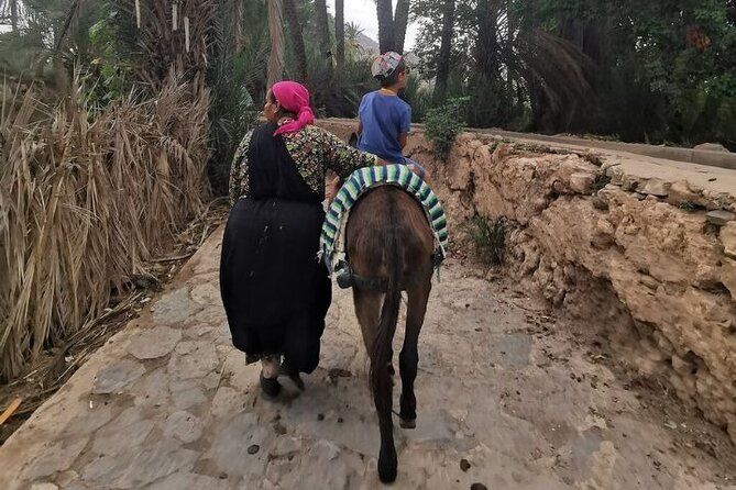 Agadir Day Trip to Taroudant and Tiout Oasis with Lunch - Lunch, drinks, and extra costs