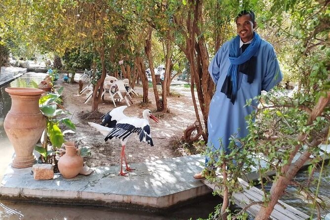 Agadir Day Trip to Taroudant and Tiout Oasis with Lunch - The pace, group size, and guide style