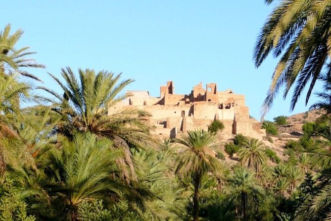 Agadir Day Trip to Taroudant and Tiout Oasis with Lunch - Practical details that affect your day