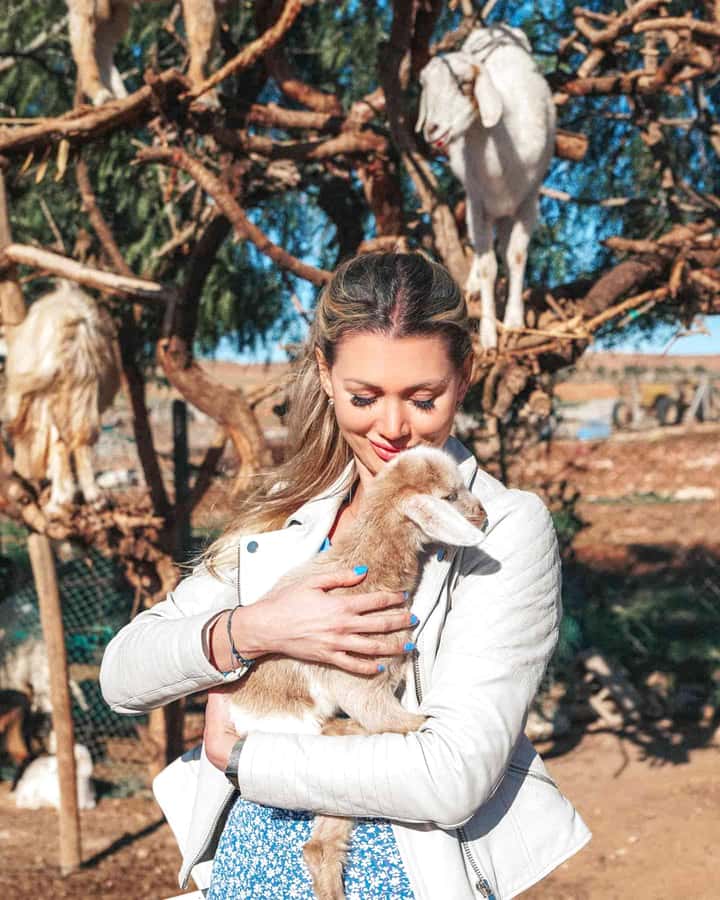 Agadir: Discover Argan Tree-Climbing Goats on a Morning Tour - Meeting the goats in the Argan trees