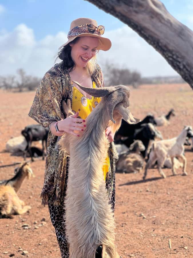 Agadir: Discover Argan Tree-Climbing Goats on a Morning Tour - The 9:00 AM pickup and ride south