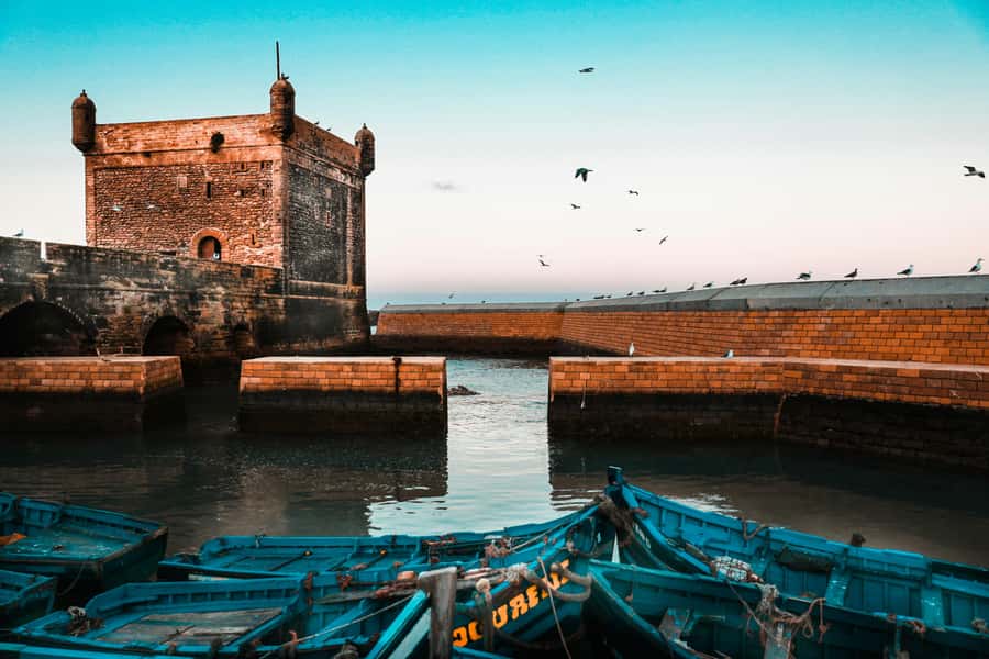 Agadir: Essaouira Guided Day Trip - The long road from Agadir to Essaouira