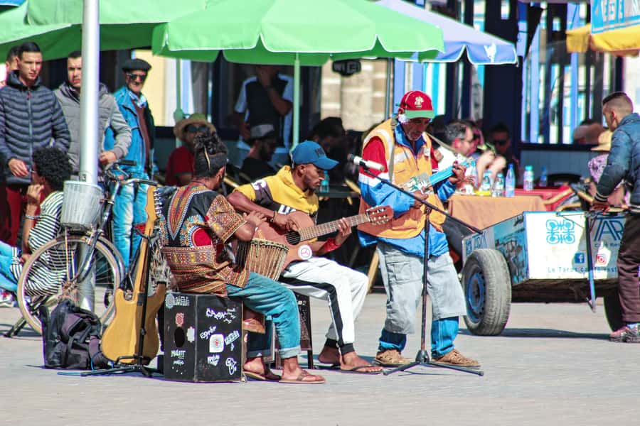 Agadir: Essaouira Guided Day Trip - Who will enjoy this day trip