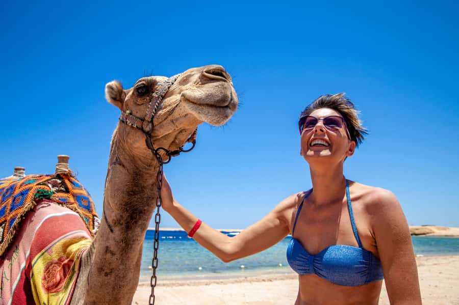 Agadir: Flamingo River Camel Ride with Optional BBQ Dinner - Sunset from camelback
