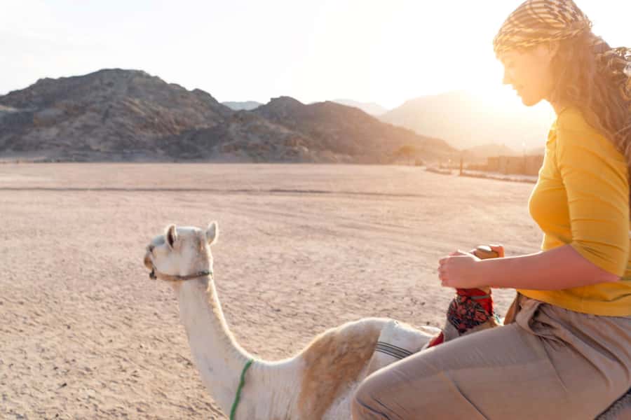 Agadir: Flamingo River Camel Ride with Optional BBQ Dinner - Mint tea, Moroccan cakes, and the dinner choice