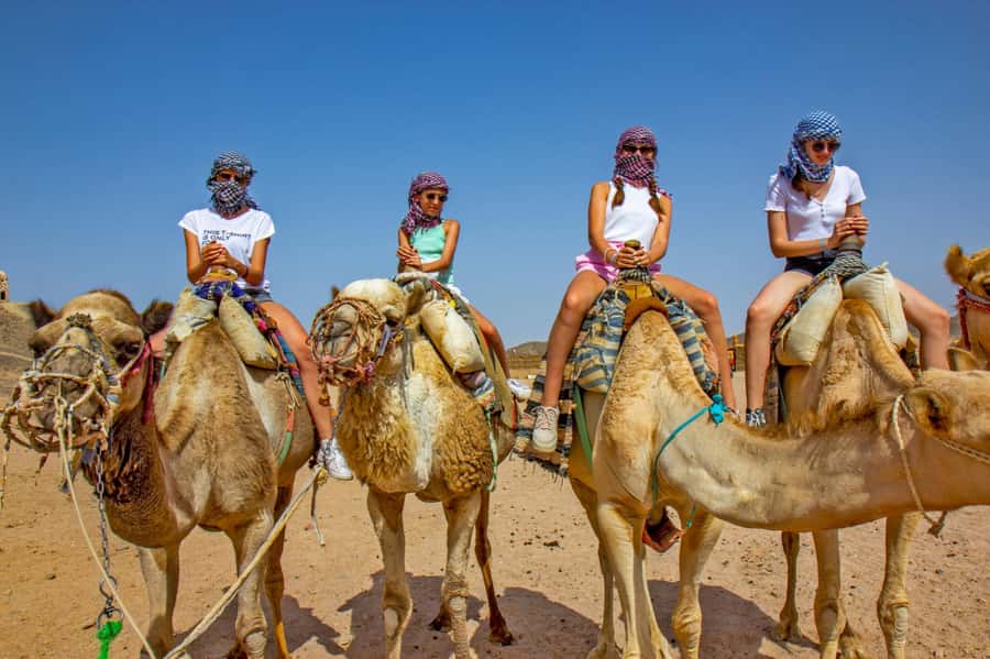 Agadir: Flamingo River Camel Ride with Optional BBQ Dinner - What the price offers at $20