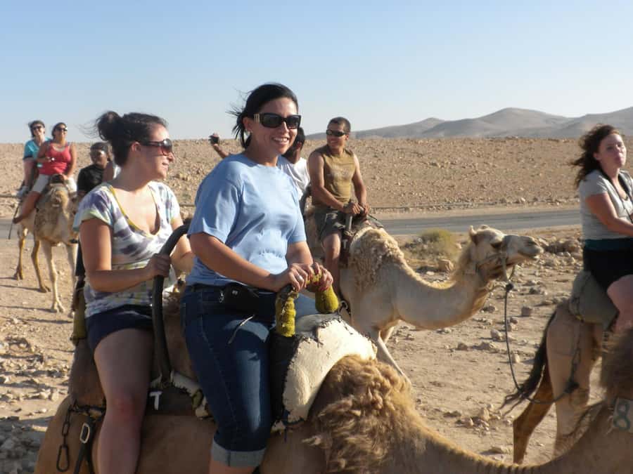 Agadir: Flamingo River Camel Ride with Optional BBQ Dinner - Who will enjoy this Agadir camel ride